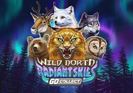 Wild North Radiant Skies GO Collect game screenshot